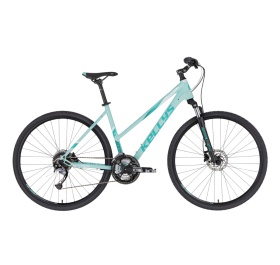 Kellys Pheebe 10 2022