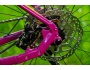 Kellys Tayen R50 SH 725Wh