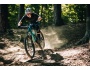 Kellys Theos F50 SH 29"/27.5" 725Wh