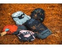Evoc Hip Pack 3 ledvinka