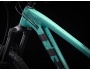 TREK Roscoe 7