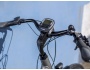 TREK Verve+ 2