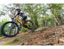 TREK Fuel EXe 9.9 XTR