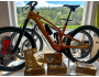 TREK Fuel EXe 9.5